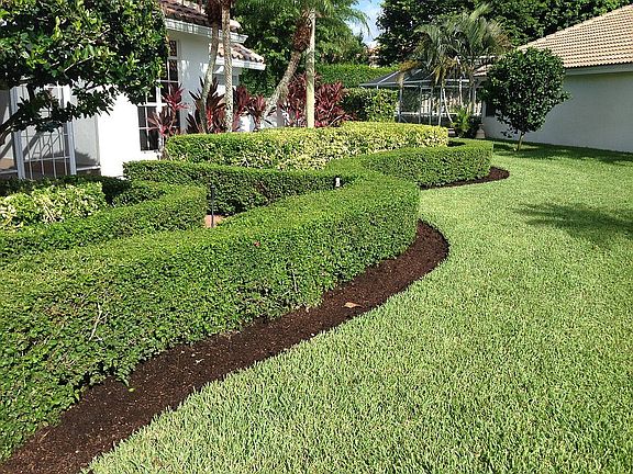 Professionally Landscaped 