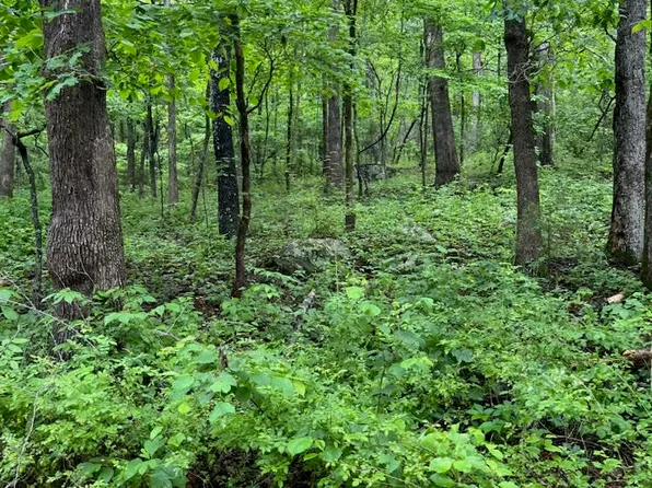 16106 County Road 109, Mansfield, MO 65704