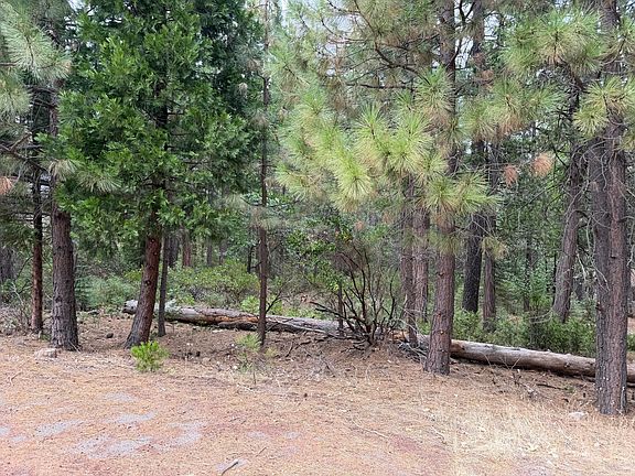 3rd image of Timber Hill Dr