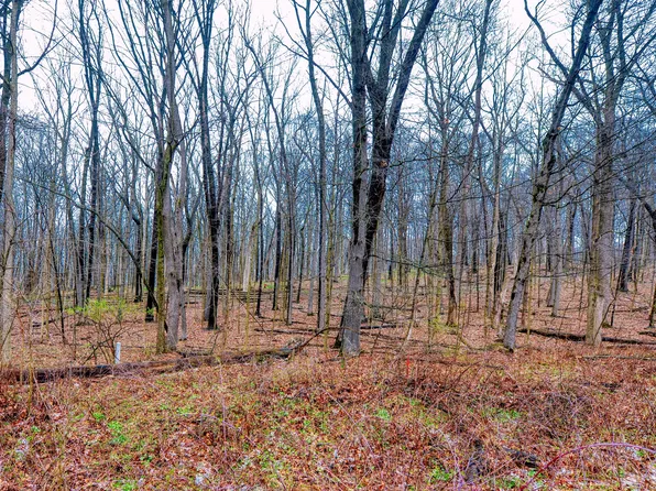 1023 Greyhawke Rdg, Niles, MI 49120