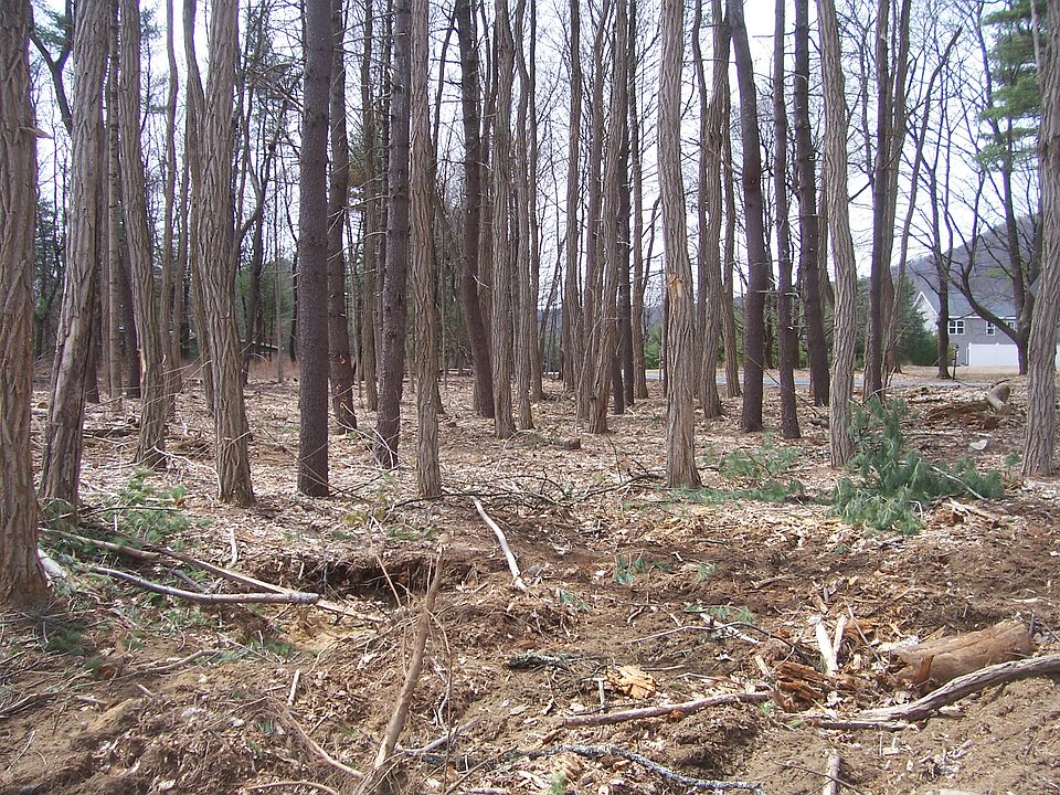 2nd image of 41-49 South Road