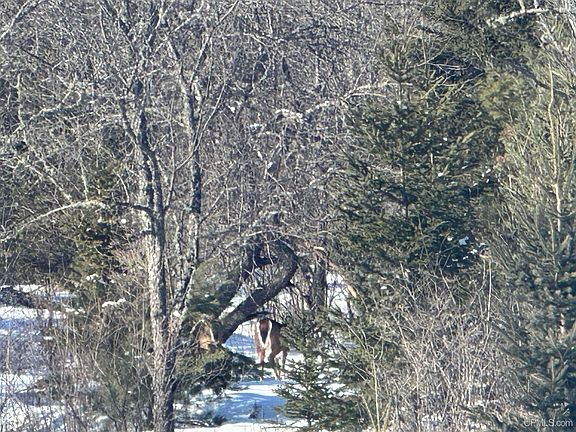 3rd image of 530 Lind Rd