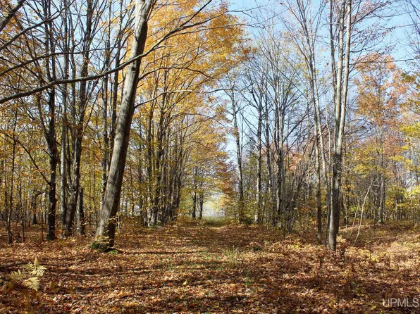 Tbd Pike River Rd, Chassell, MI 49916
