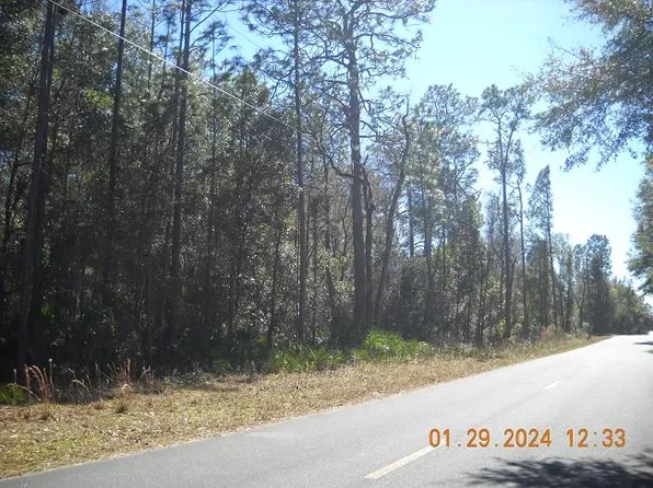 TBD NE 808th St, Old Town, FL 32680