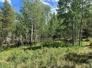 293 Aspen Cir, Black Hawk, CO 80422