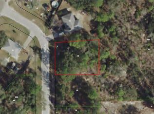 5414 S Velour Loop, Homosassa, FL 34446