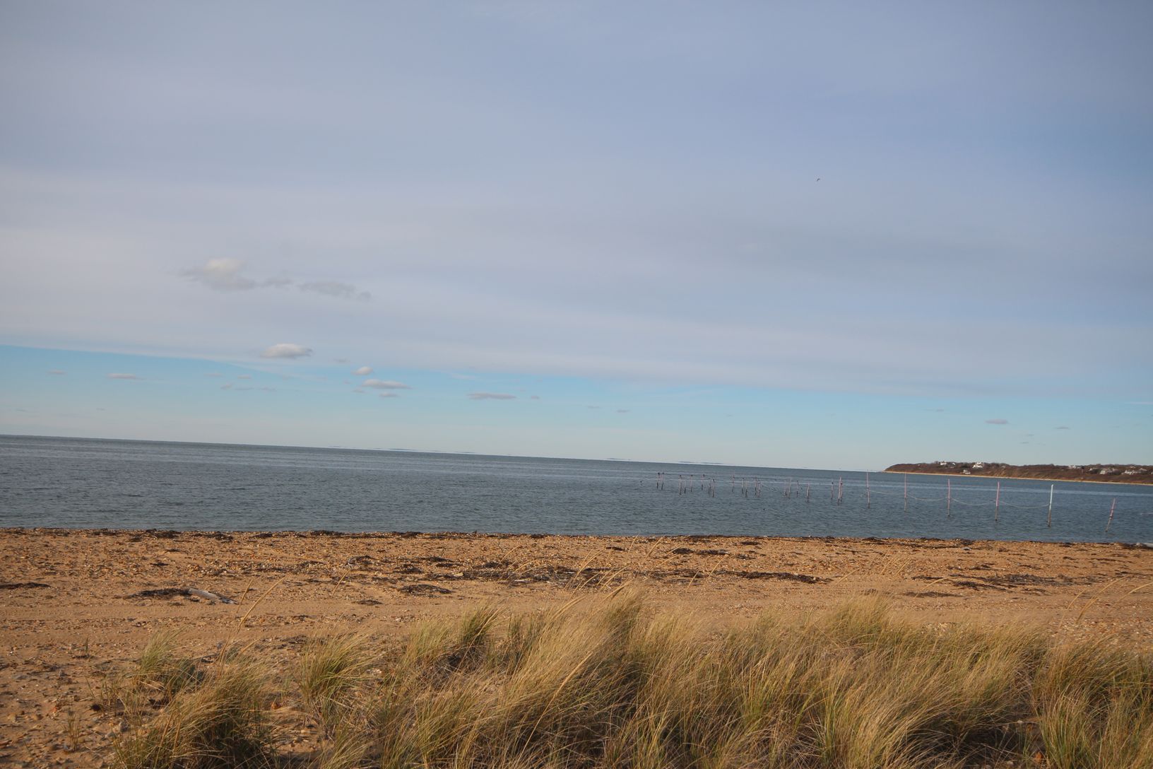  Navy Beach