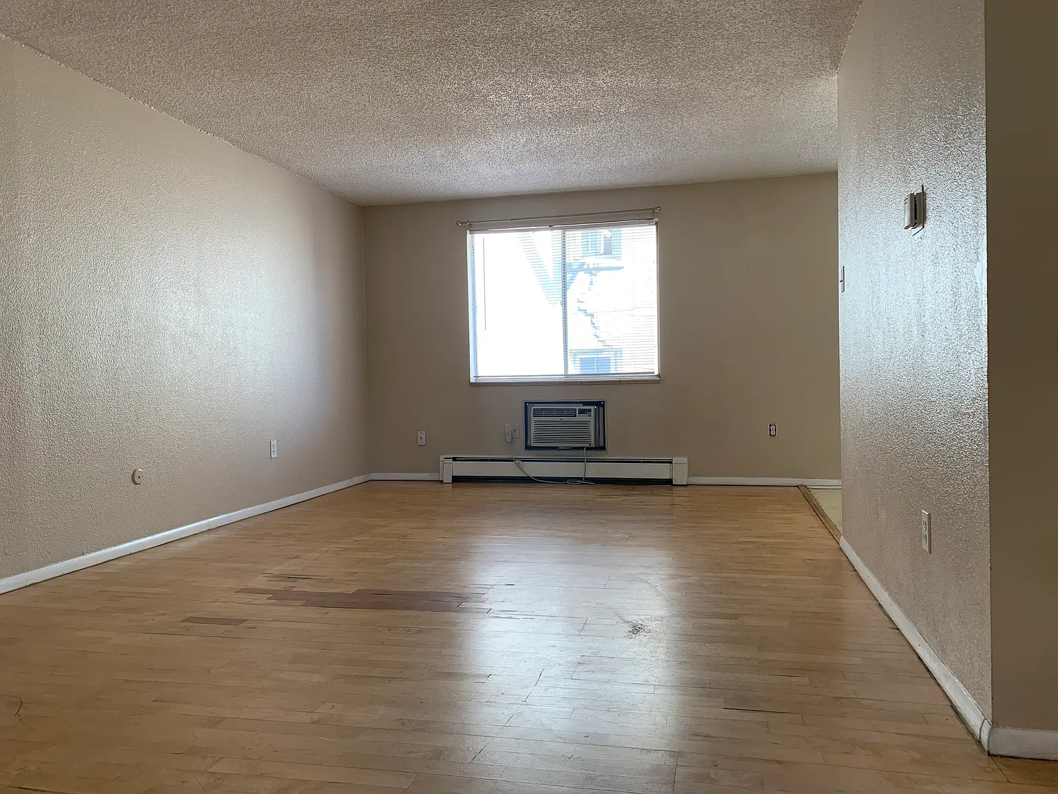 Spacious 1 Bedroom available in Capp Hill — Photo 2
