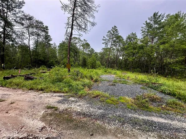 NE 112th Ct Lot 11, Fort Mc Coy, FL 32134
