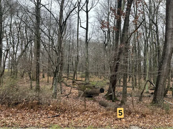 3968 Baggett Rd Lot 5, Springfield, TN 37172