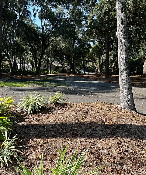 Lake Forest Dr. from the driveway