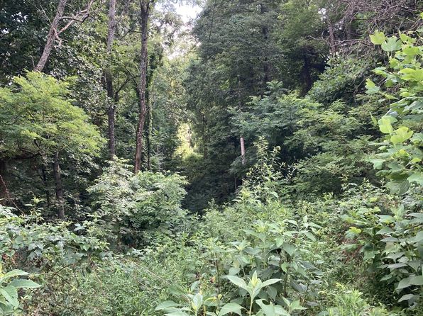 2207 Riley Creek Rd, Whitleyville, TN 38588