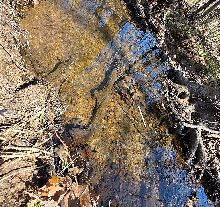 1st image of Mountain Springs Rd #1