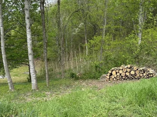 5 Flat Hollow Rd, Speedwell, TN 37870