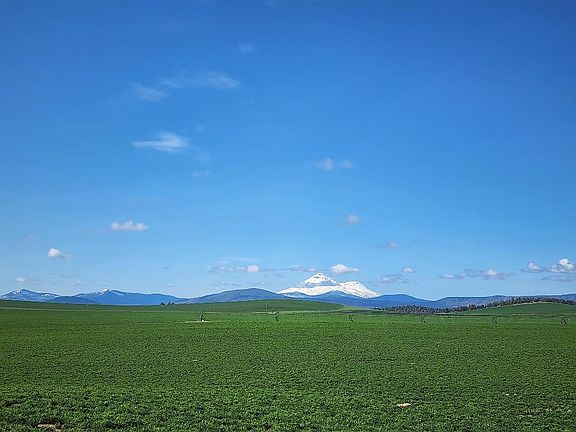 2nd image of 2935 Sheep Mountain Rd