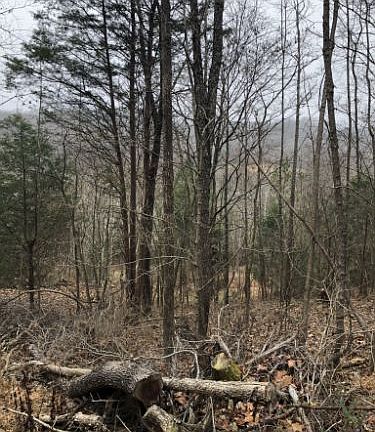 4th image of 8943 Highway 100