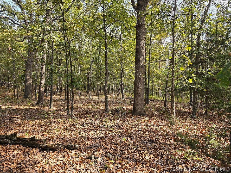 1st image of Forbes Rd #2556 & 2557