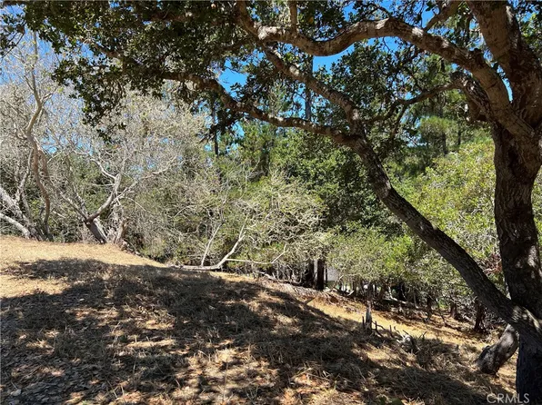 0 Melrose Ave #39, Cambria, CA 93428