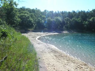 2959 S Stephan Bridge Rd, Grayling, MI 49738