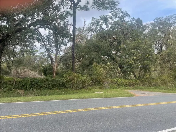 Hayes Rd Lot 3, Bushnell, FL 33513