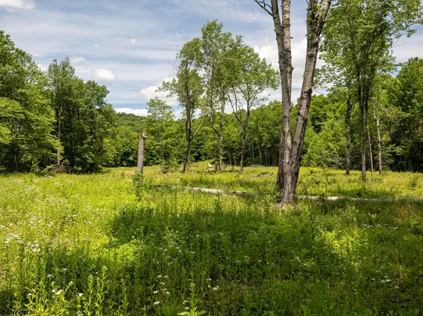 LOT 11 Lake Island Dr, Belington, WV 26250