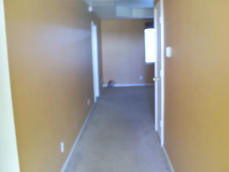 3005 Blue Ridge Dr — Photo 2