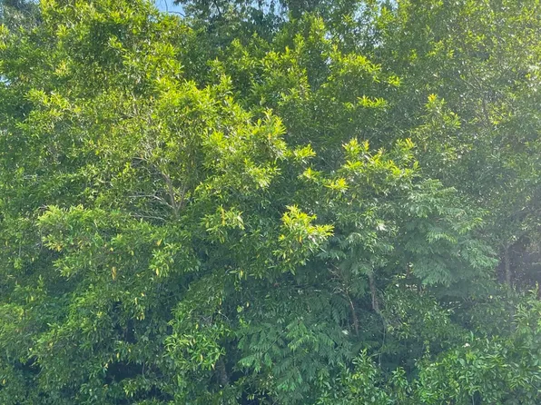 2189 Gold Rd, Spring Hill, FL 34609