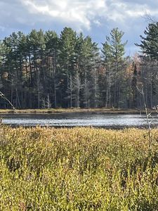 11974 N Chesbrough Lake Rd, Newberry, MI, 49868
