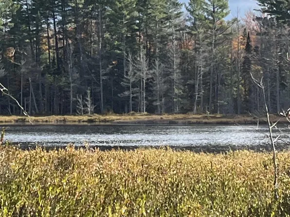 11974 N Chesbrough Lake Rd, Newberry, MI 49868