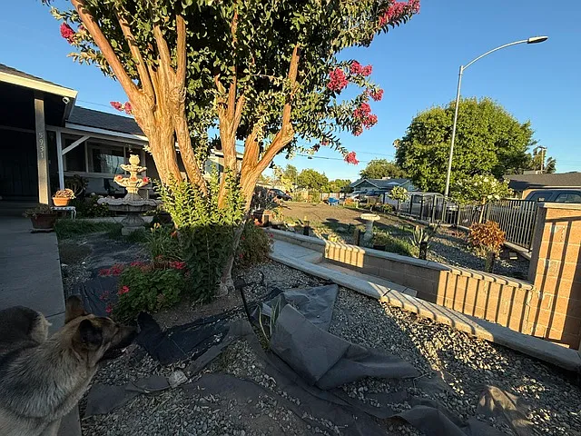 5931 Mascot Ave — Photo 2