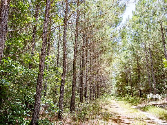 4th image of Xx1 Sandridge Church Rd