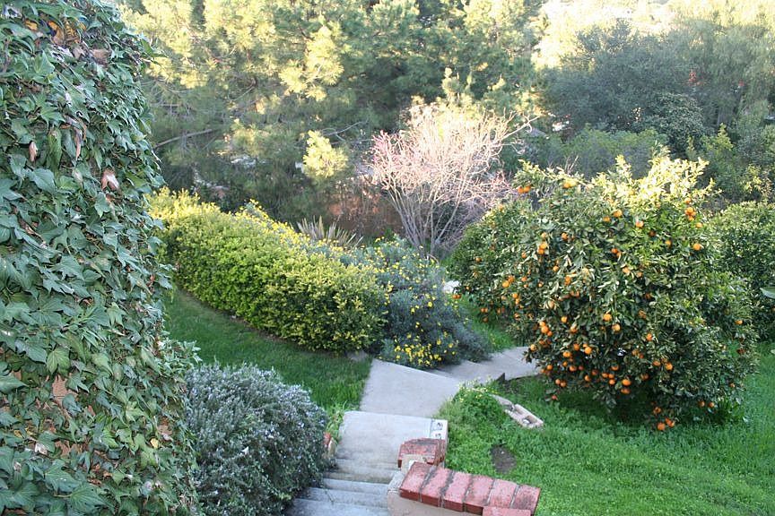 1/2 acre lot