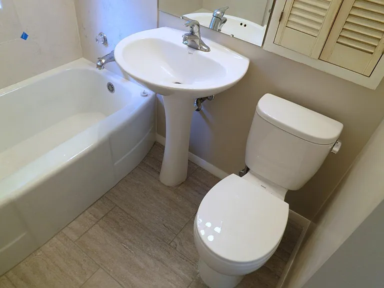 New pedestal sink and new toilet.