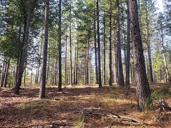 4th image of Acres 47 Bear Creek Rd