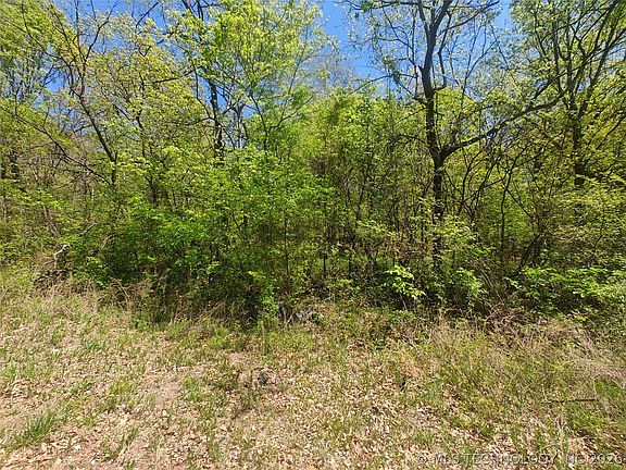 5th image of 31200 W Deer Run Rd