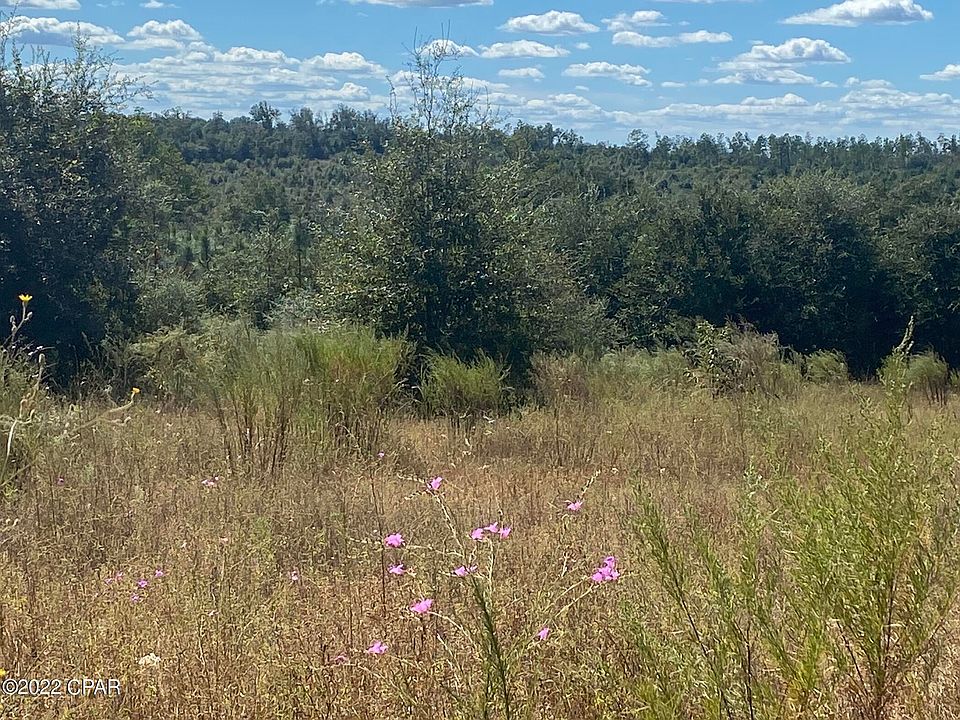 0 Pike Pond Road, Chipley, FL 32428 Zillow
