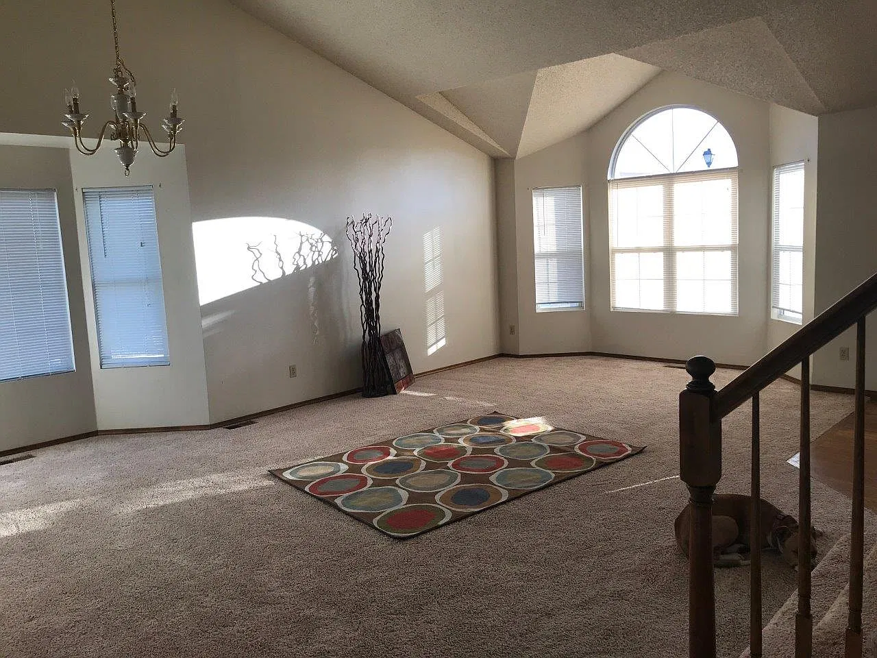 8750 Massey Cir - 1 — Photo 3