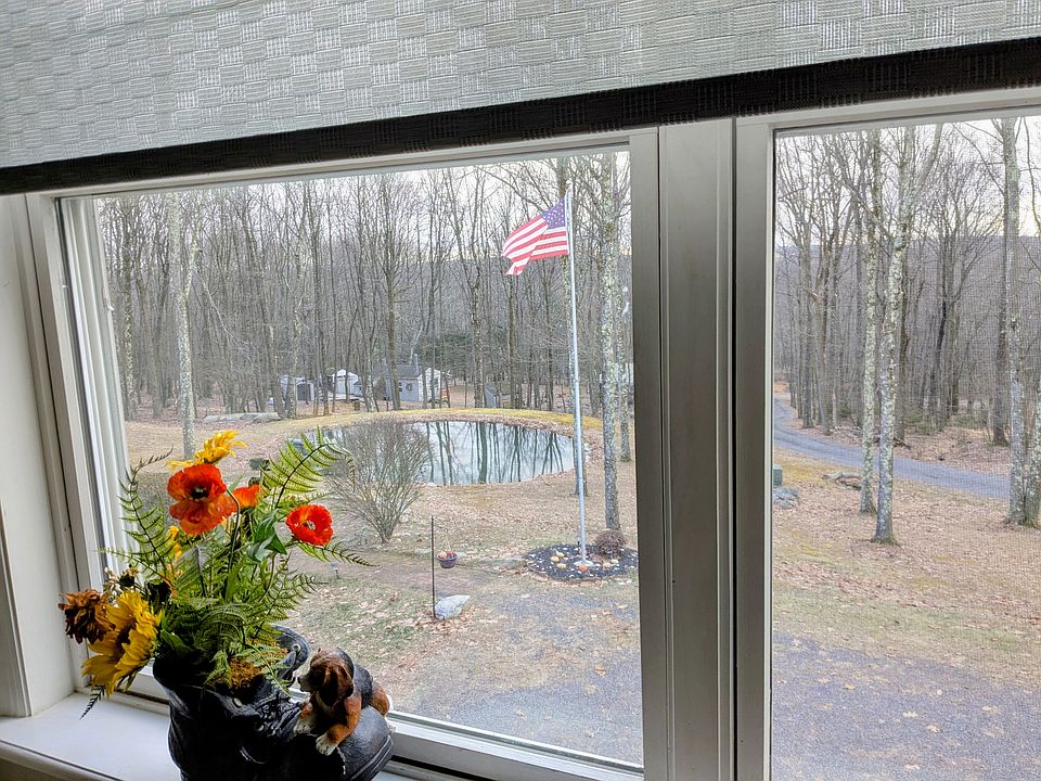 view from the living room window