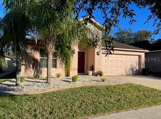 10225 Summer Azure Dr, Riverview, FL 33578