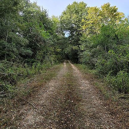 4th image of 1651 Private Road 648