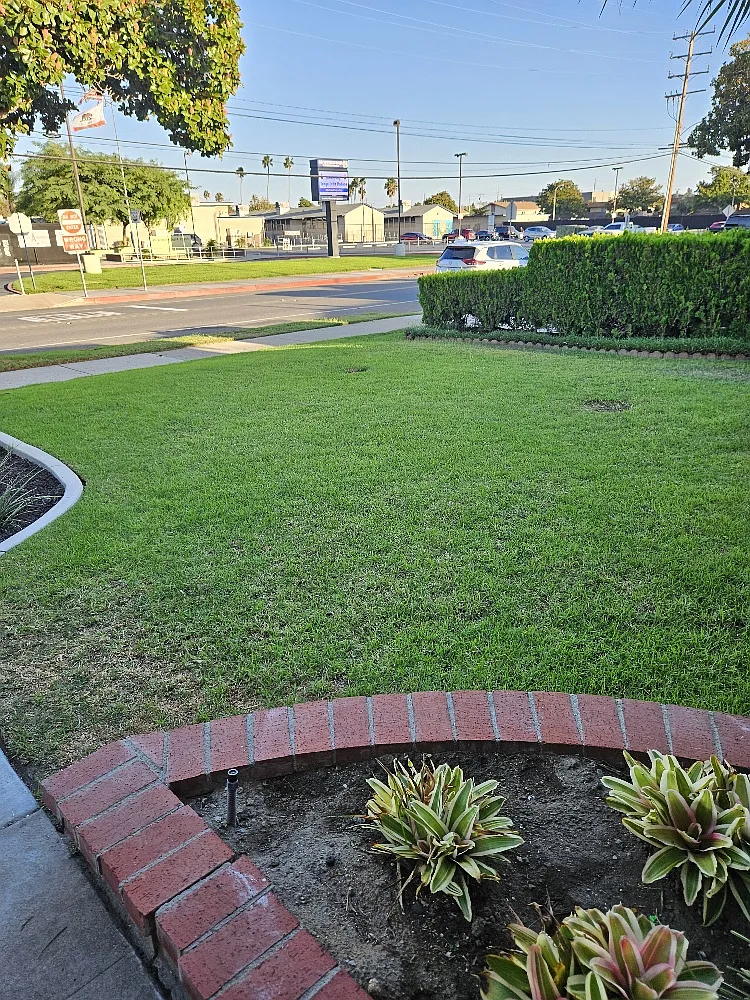 Studio, 400 sqft, $2,200 — Photo 3