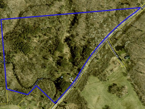 3rd image of 556 Butternut Ridge Rd