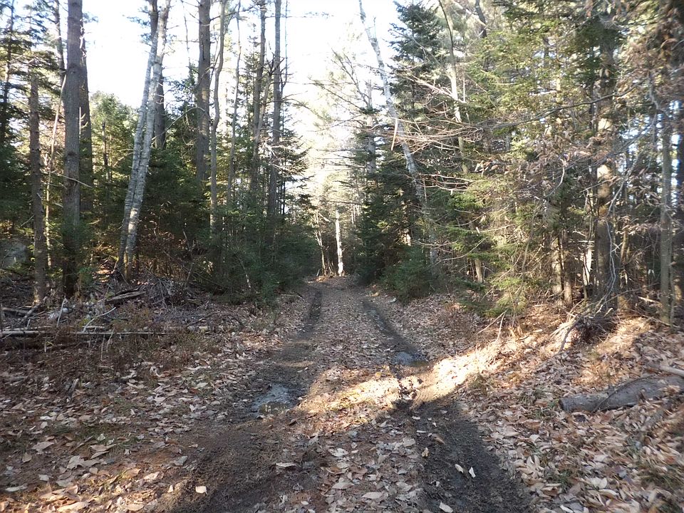 2nd image of Thilo Road