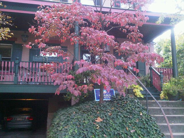 1st image of 6104 Kentucky Ave