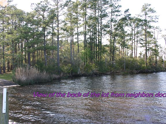 4th image of 909 Crooked Creek Dr