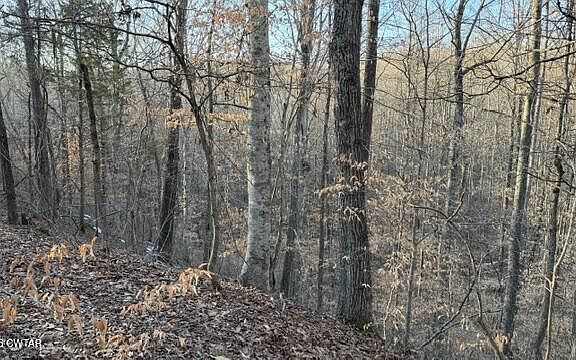 5th image of 0 Baudy James Rd