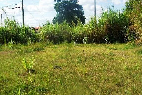 2nd image of 904 NW 15th St