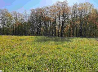 Vl D Lynn Rd, Bellaire, MI 49615