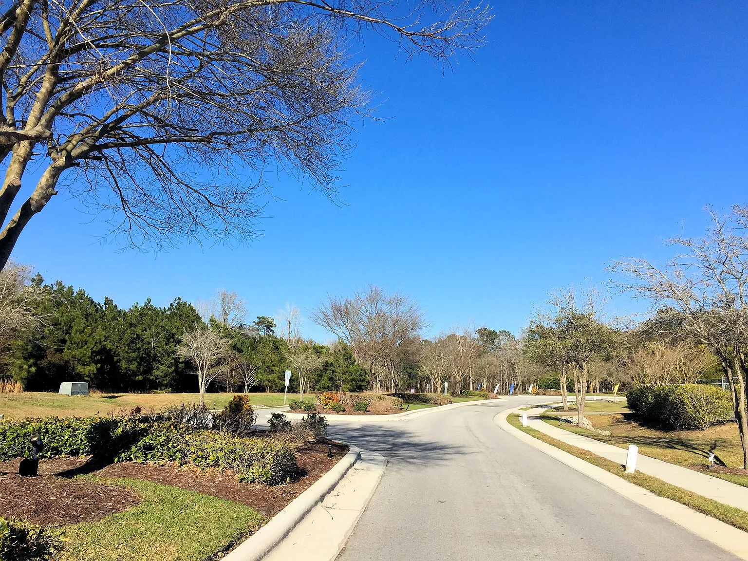 Emerson Ln, Sneads Ferry — Photo 4