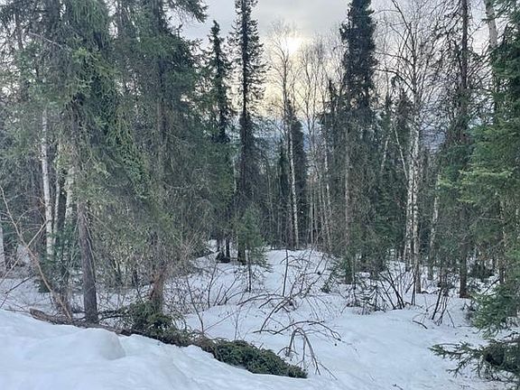 5th image of Nhn Himilaya Rd